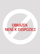 Bez obrázku